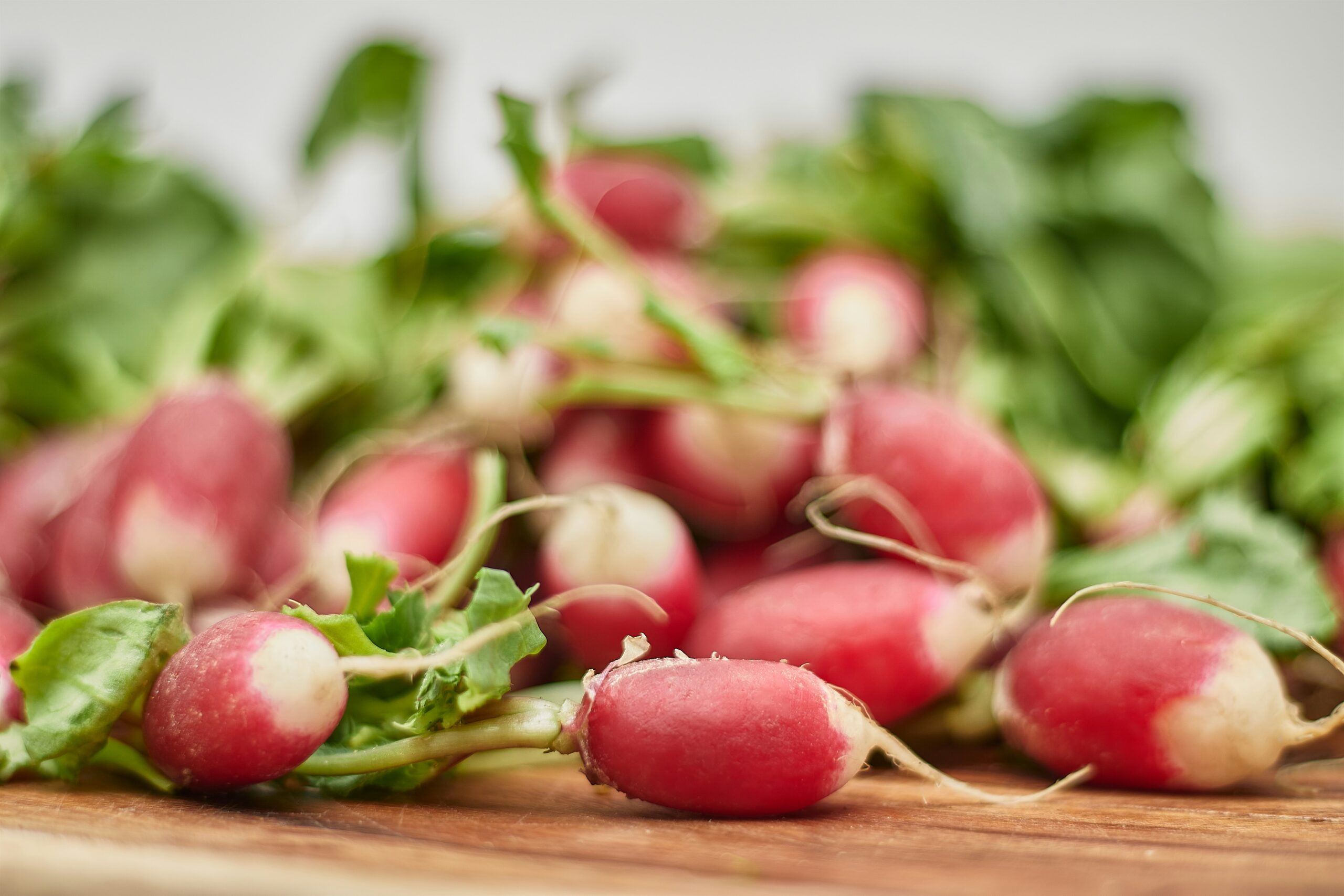 Fresh spring radishes with green leaves